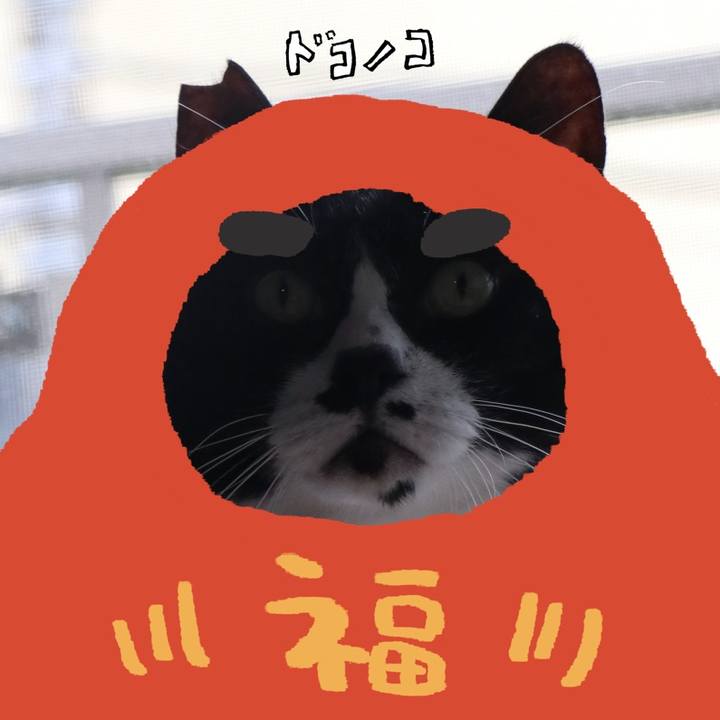 B2a0eeb2 e922 4089 9ef7 c6df0b249c8c 1771848262241