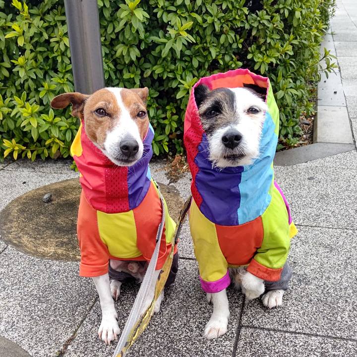 B2a10040 2d8b 4060 a0fd 847979afbdcf 1709680489058