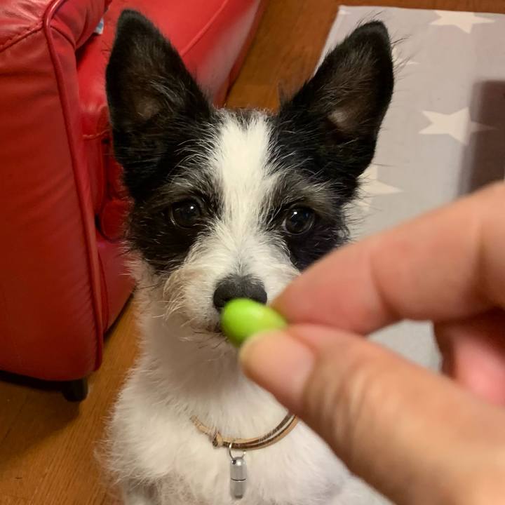 B2a16ea0 a2a9 44e2 9e0d 65c41c19fa42 1629985660407