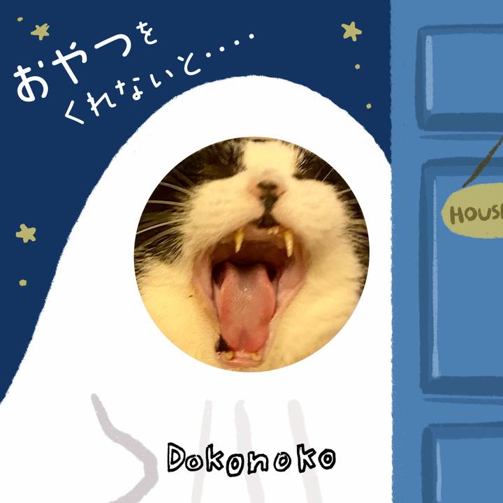 B2a17139 968b 443f 93e6 c222466674f5 1729251050478