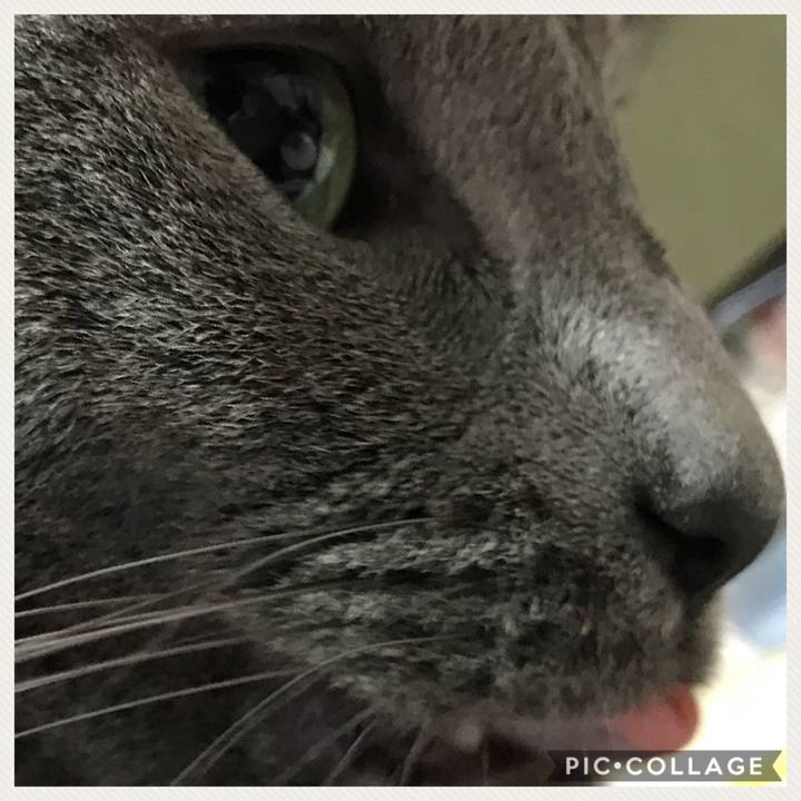 B2a1e331 736e 4fb1 8b8f 4d61414c35ea 1508569620071