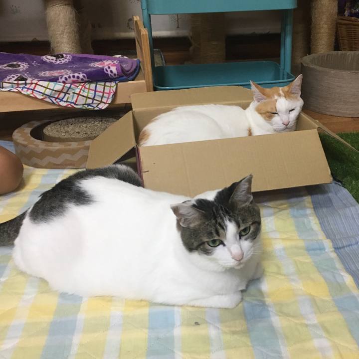 B2a1fe1d 2d8c 4506 8deb cf97200e2f3e 1535631780837