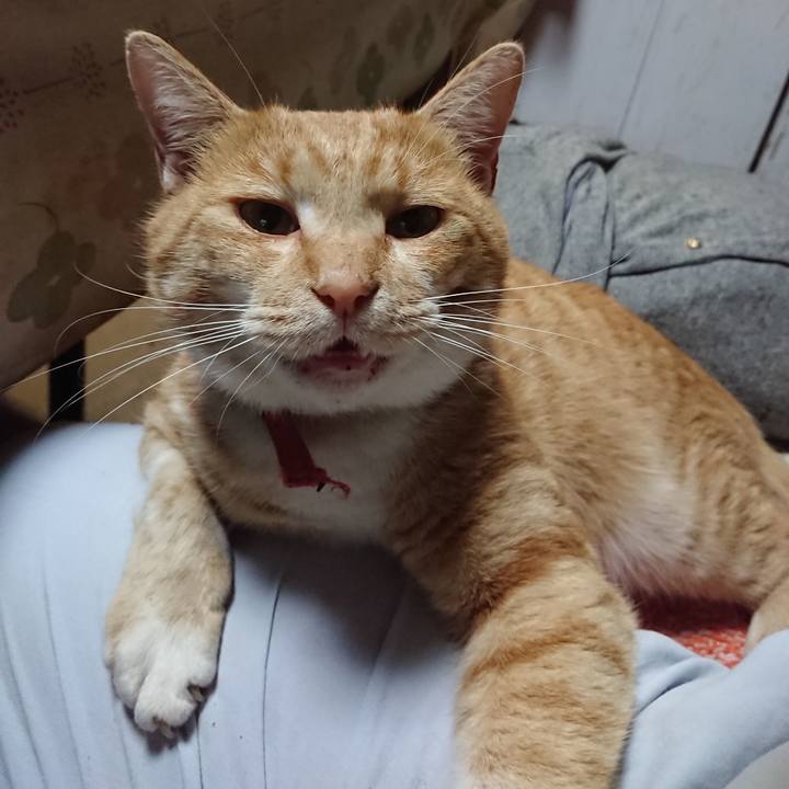 B2a220c3 07d5 4065 bef3 e40ab68e8164 1574157001431