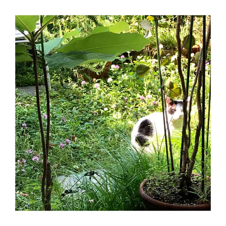 B2a22671 426e 408c b98a f168a12d126c 1558662437462