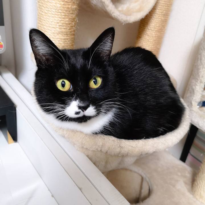 B2a24216 dd98 4828 9430 cf33002b7f85 1549295581757