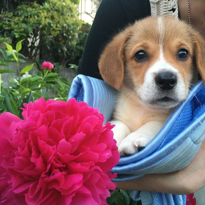 B2a254e0 a14e 4ac1 8163 d1146b287072 1589381880819