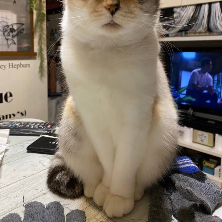 B2a25cf4 9379 44b3 b092 ed346fef4dd8 1607698470580