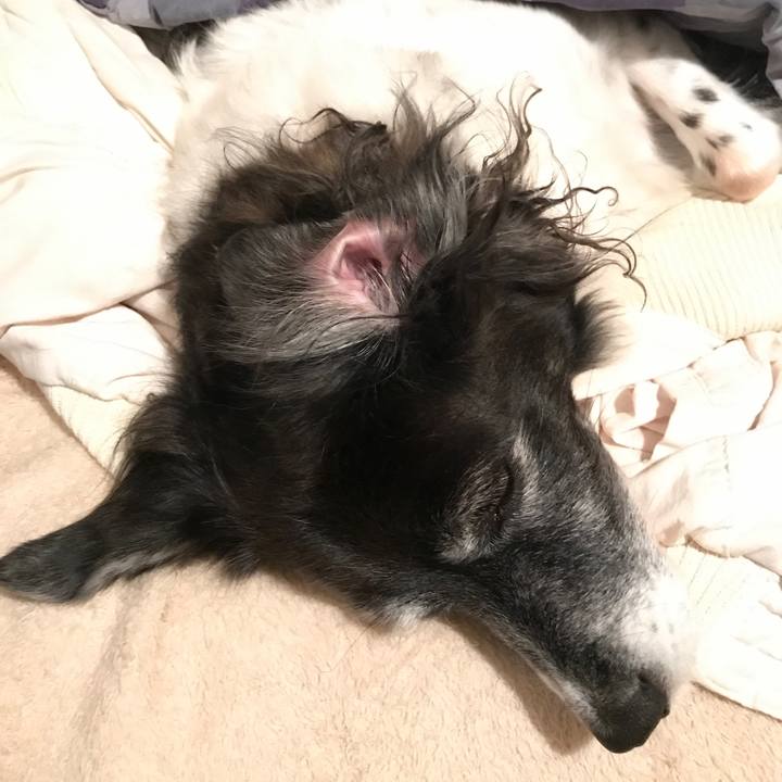 B2a27178 2d58 4817 b0fb 281372ce82e1 1508499389644