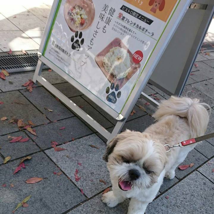 B2a27f66 2b1b 43da a4e9 f815ca97e7fb 1530435106183