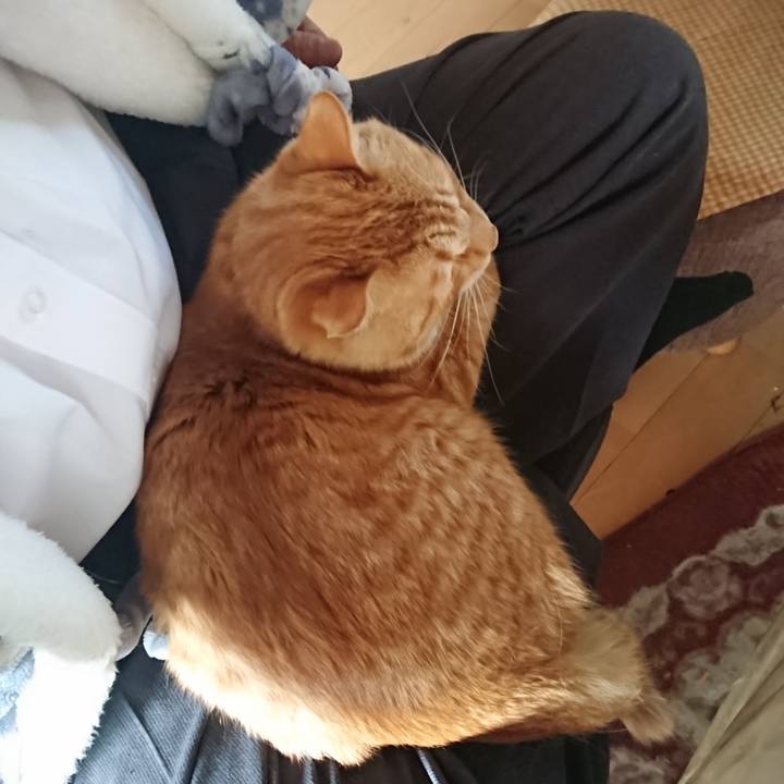 B2a2aaac df7d 49fc 9ebe 02644f08b574 1650716170681