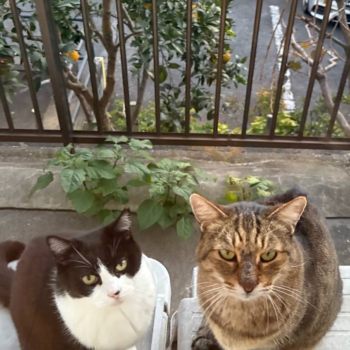 B2a308f9 2b75 4817 93d5 9a681a549669 1763624784972