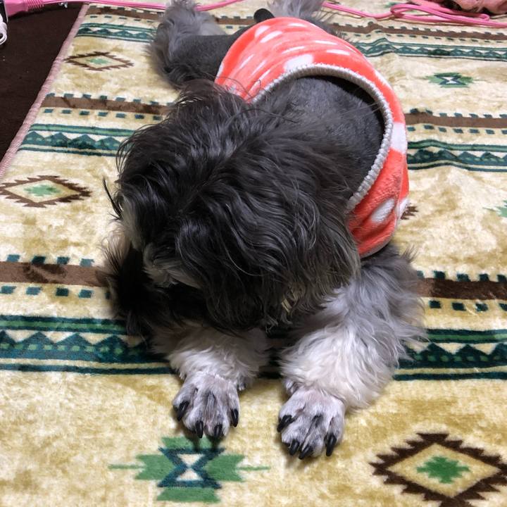 B2a311bf 677f 48e9 aebf bdac46f0857e 1550843963303