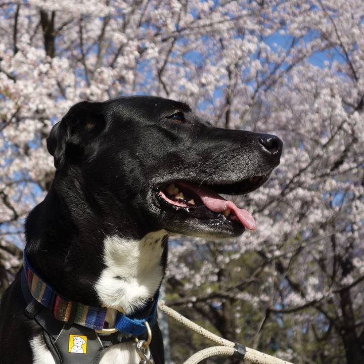 B2a3456a 3120 474d b84b 601cbb85276a 1648896548904