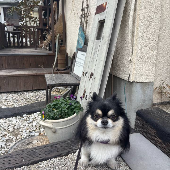 B2a3bd8b eede 4120 8f41 6fec0b542d72 1769912473753