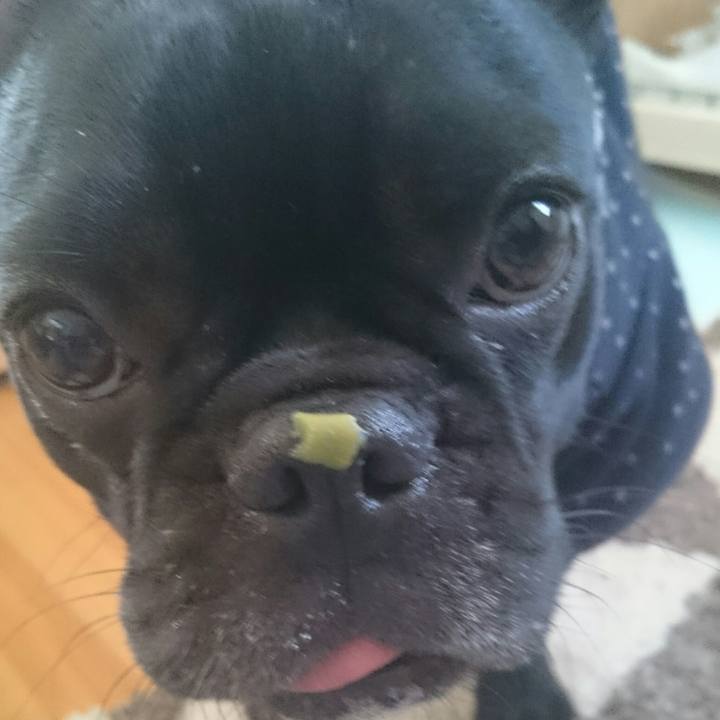 B2a3e250 b287 4d5d b315 6b7ad292e287 1522025471060