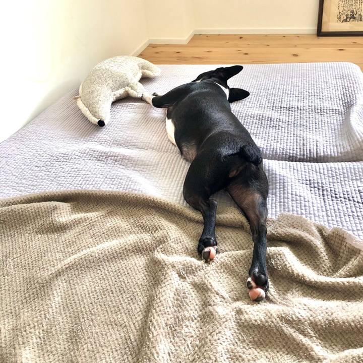 B2a414ac 2cc8 4b88 aa81 02834f573442 1530149961481