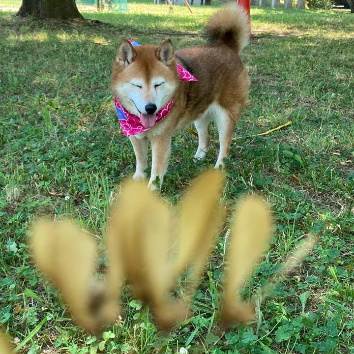 B2a42b37 e3f2 4a4a 831d 3f00db8bb8b5 1656657975940