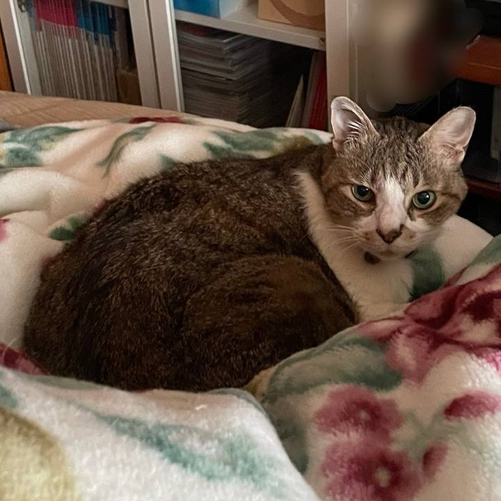 B2a43ccb 78a4 43e6 9116 96b9a72c9fc9 1769578464410