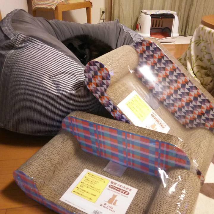 B2a43fac 369b 48b6 a146 ec33f56a7f65 1577263577245