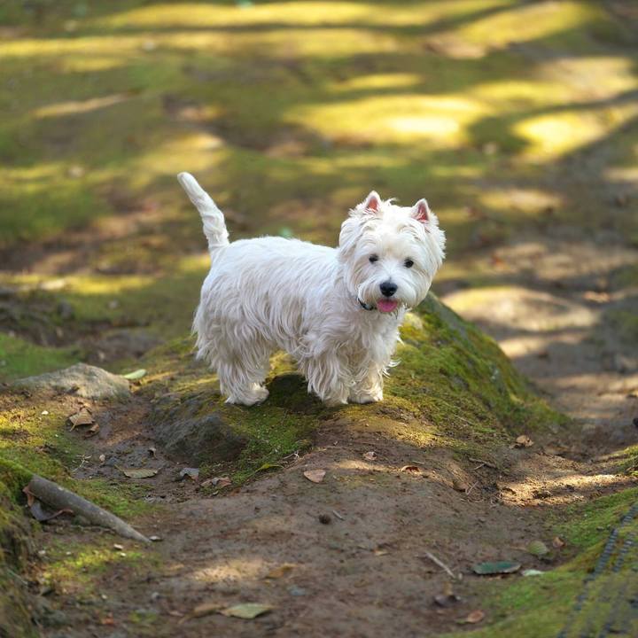 B2a44a9a 9763 405f b775 c193f8e5dee3 1517098838934