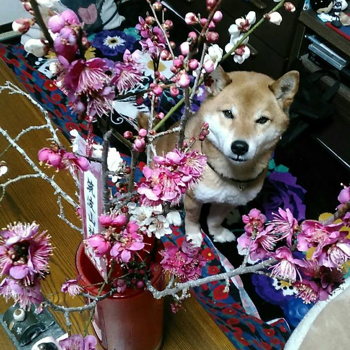 B2a46080 bc8c 4995 ada0 bc49cd805b85 1550911560897