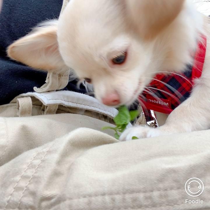 B2a46a2f f109 4a0c 9f56 31c43f61f591 1603344222192