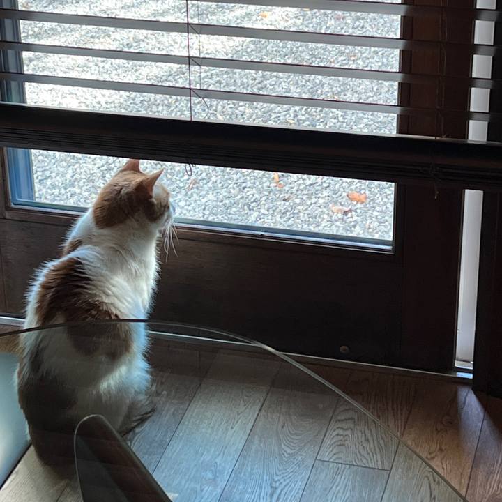 B2a472bb c376 4cae 99f7 f987e578bf17 1765070034073