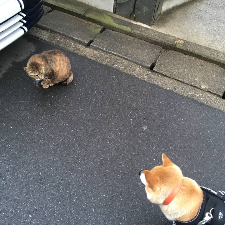 B2a47f48 5ab3 41e7 8c64 8529c5f22a88 1613215726804