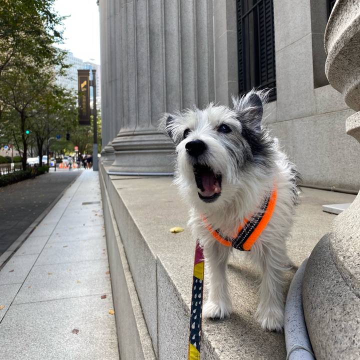 B2a4a227 5f56 408a 89da 7bf34602286a 1572873423042