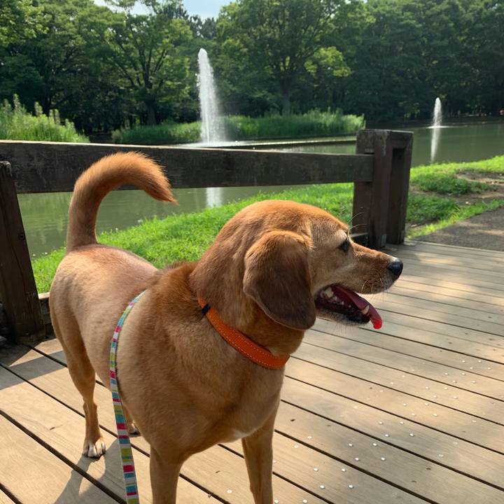 B2a4c41a 2ce9 4a71 b2d7 a91d623e1140 1565065827229