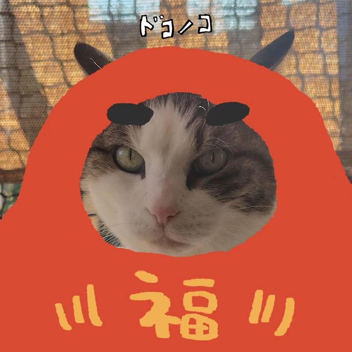 B2a4c81d 65a1 4050 87cd 8fb0d5f0bd05 1772079875869