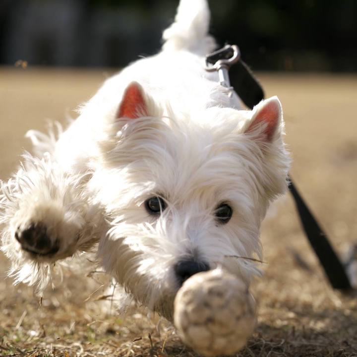 B2a52819 da6b 44f0 b4d7 9b34a1752300 1514555051214