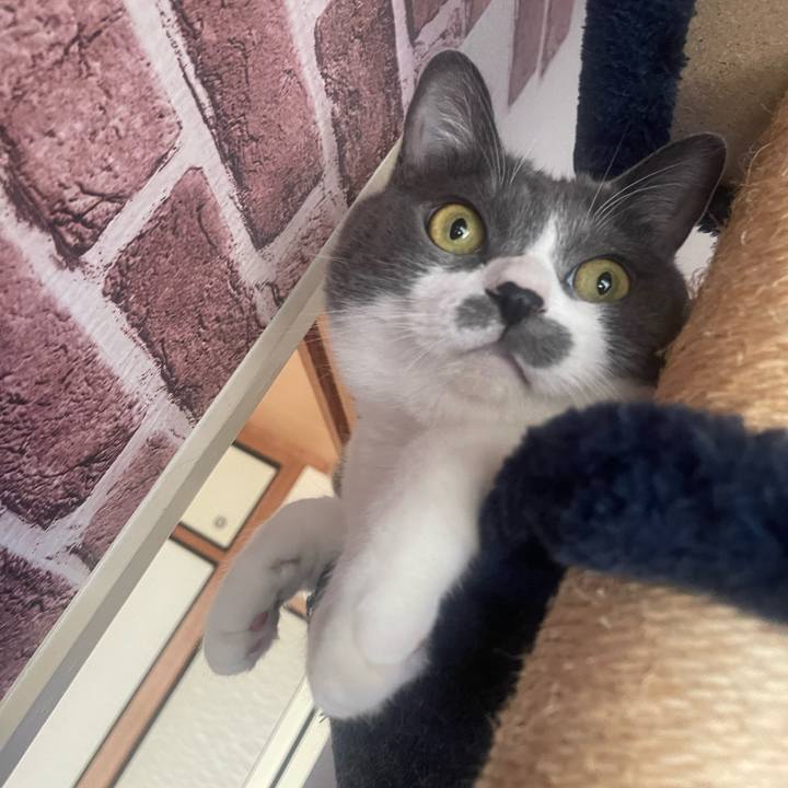 B2a53e46 28f4 4d84 84db 397e86407d74 1729809871362