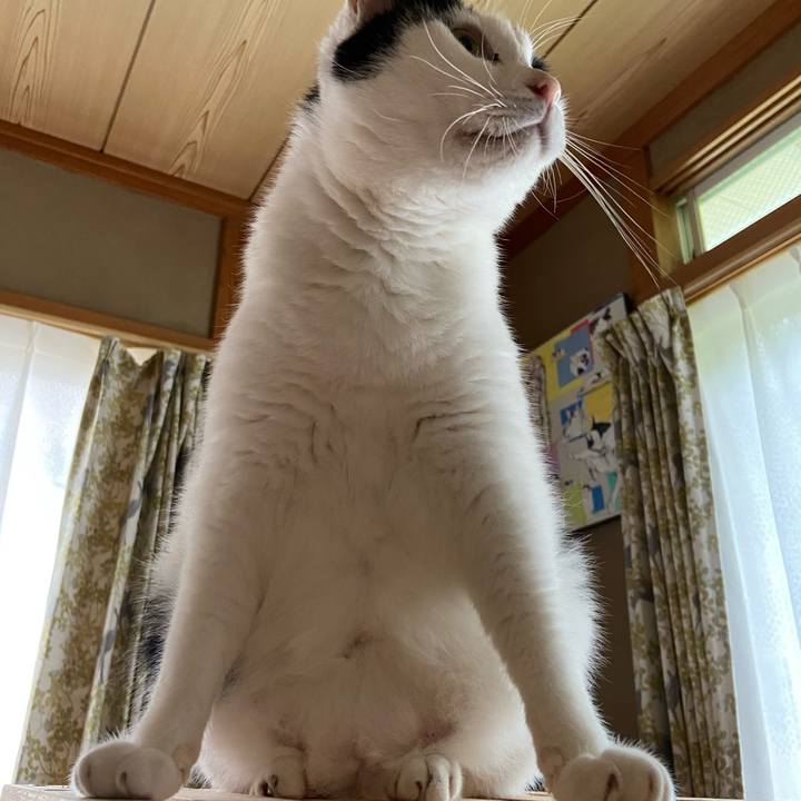 B2a5519b 4fac 43ae b2ab aa006e28210d 1593905745524