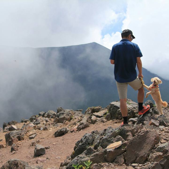 B2a58584 8fc5 4e7c b60d d8da207959c5 1630484519065