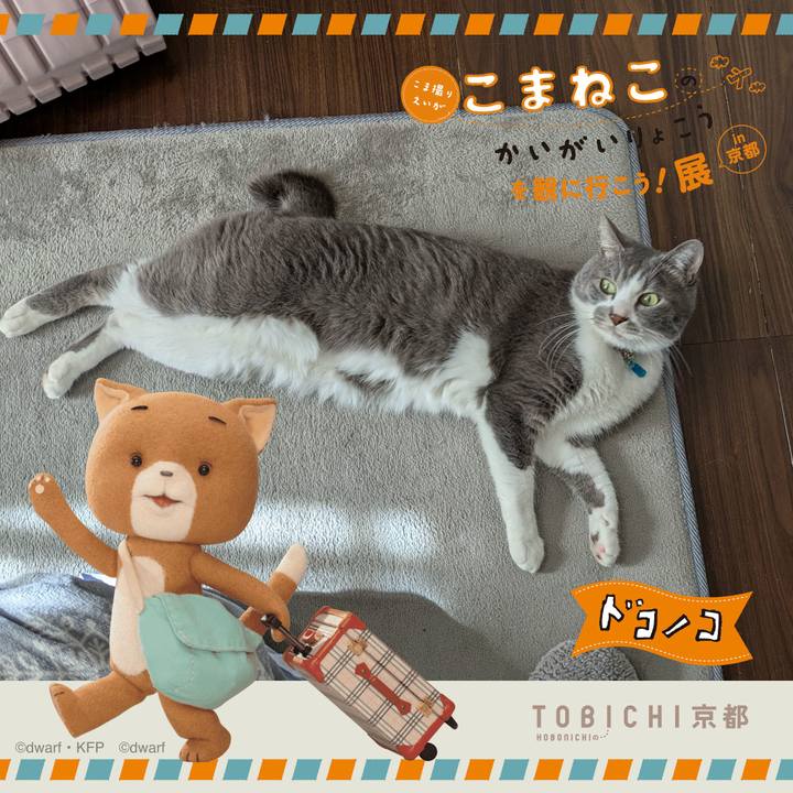 B2a589bd 6636 4a09 b894 2444db1c2620 1740106674648