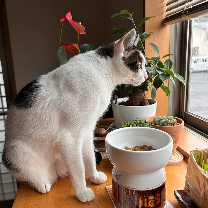 B2a5905d 91ab 41ff bd8c 8c7752faf736 1716846183306