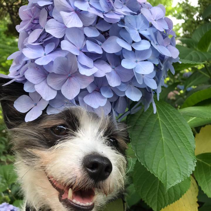 B2a5a5ef 89ed 4573 b244 470a9fa82bb6 1560858229067