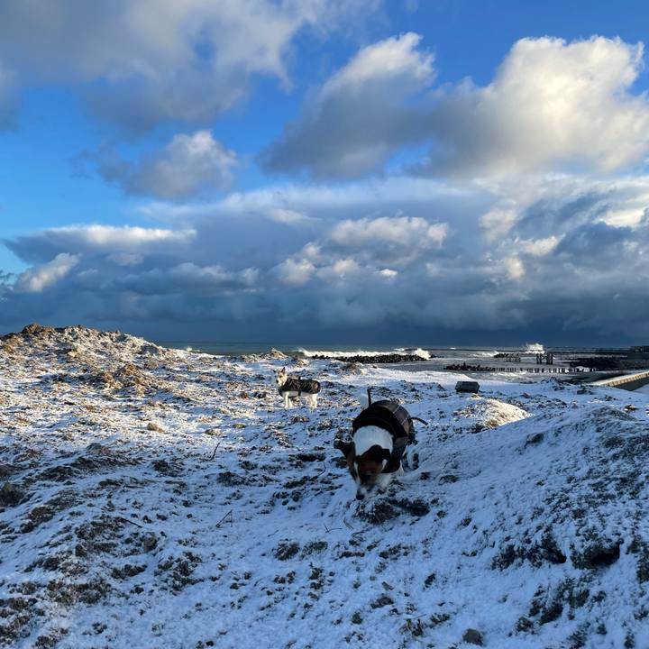 B2a5b9b2 bd07 4de0 a285 9bbb9de868cd 1740095568850