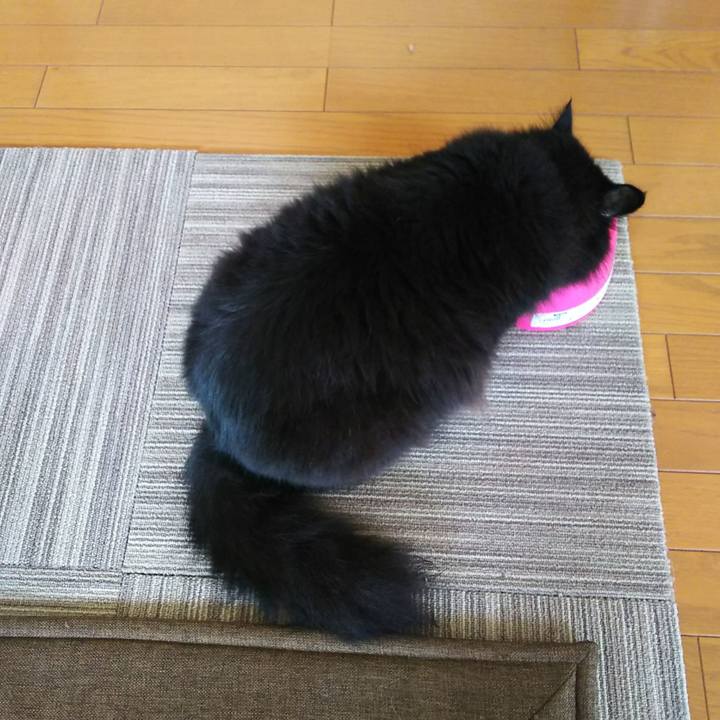 B2a5f878 c869 48d1 a95b 481f37ef6895 1532737546783