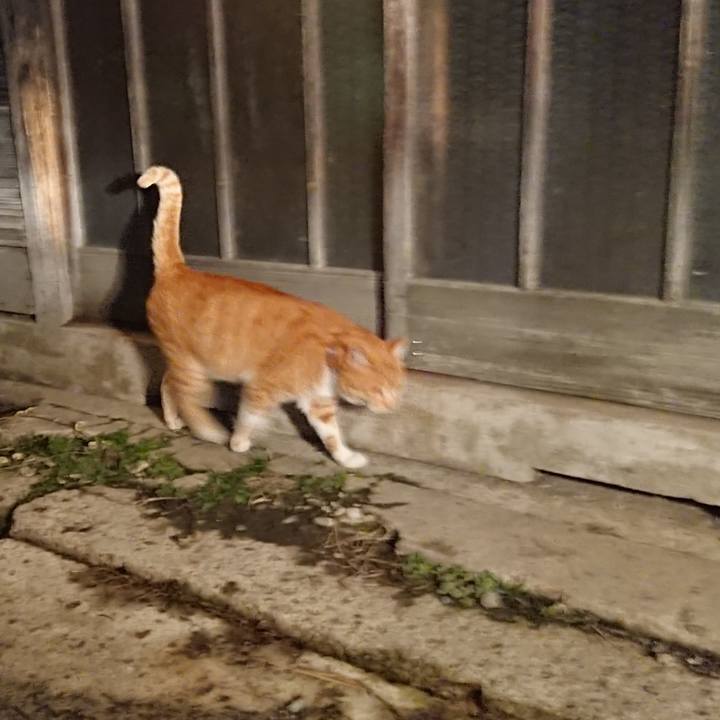 B2a650bc 838c 4377 9f67 f01e5ef49be5 1576658857657