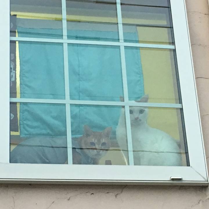 B2a675a4 8284 4f9c 8f7c 943218eb1438 1527507916023