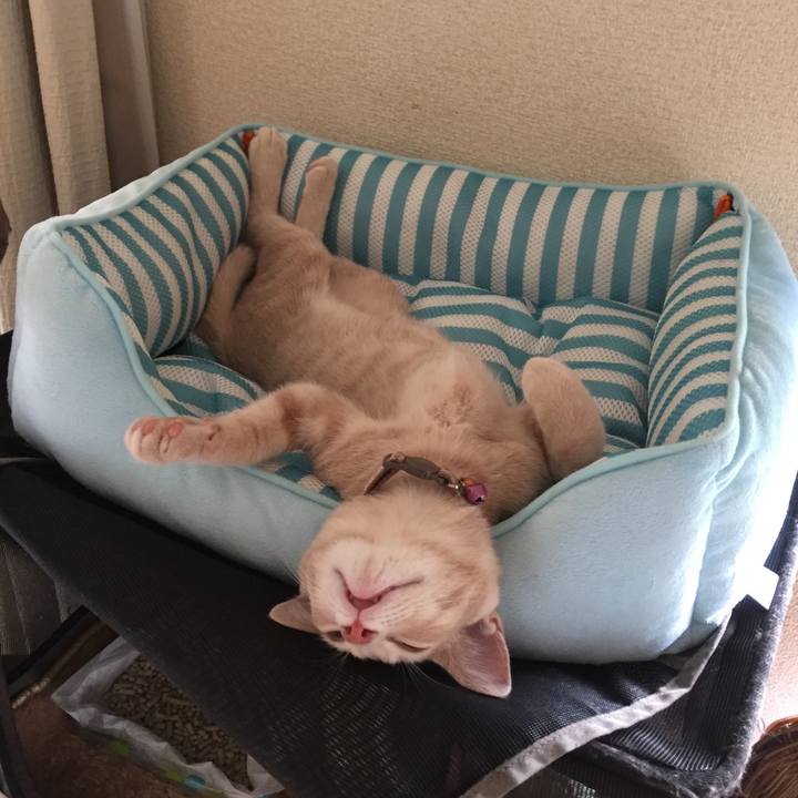 B2a684d6 67fd 455b 9803 d112f163c387 1543493857445