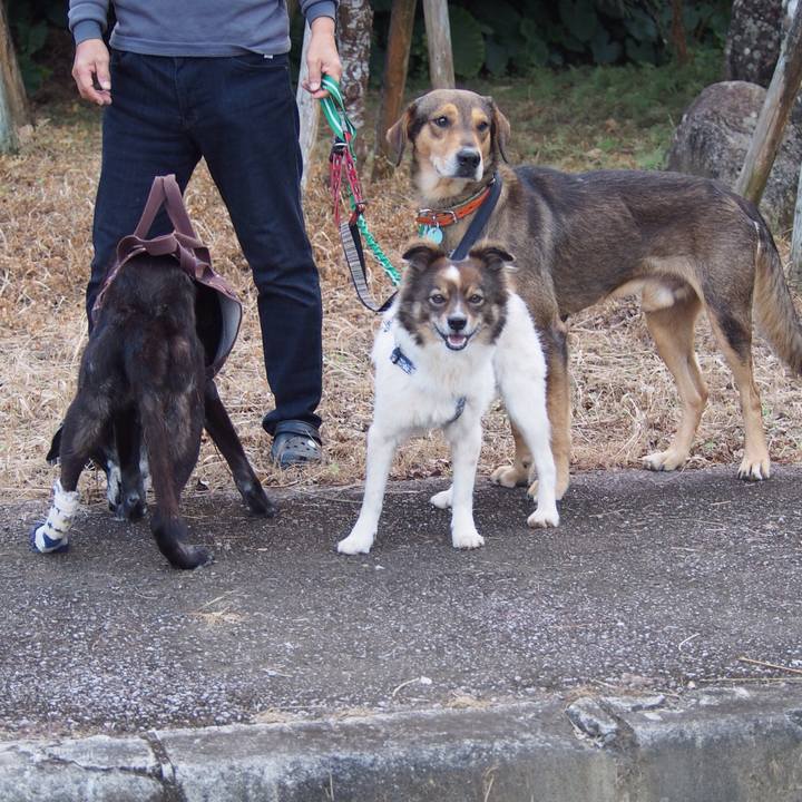 B2a69a1f 4c0e 4a50 b556 ffb2384ff5b7 1515041162953