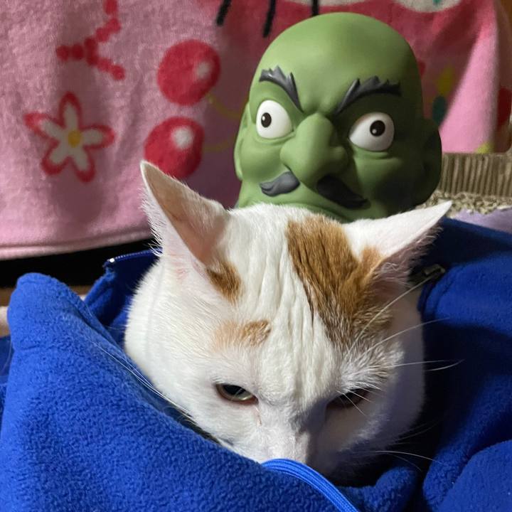 B2a6aa8c 7680 4e60 9c1e 51dfa76f138e 1644825515617