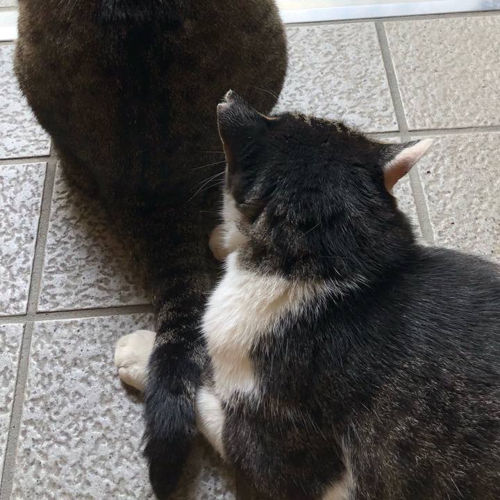 B2a6e1ef 4229 4f5c 85c5 6605e99cb1cd 1530073985568