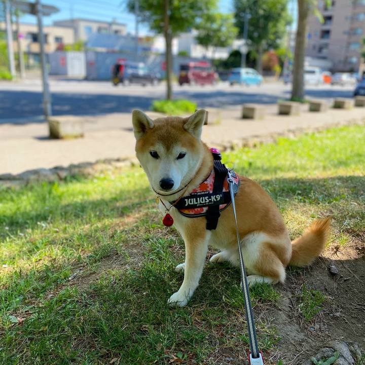 B2a6f6ae 348f 4346 992e 3947554ec83b 1625014150406