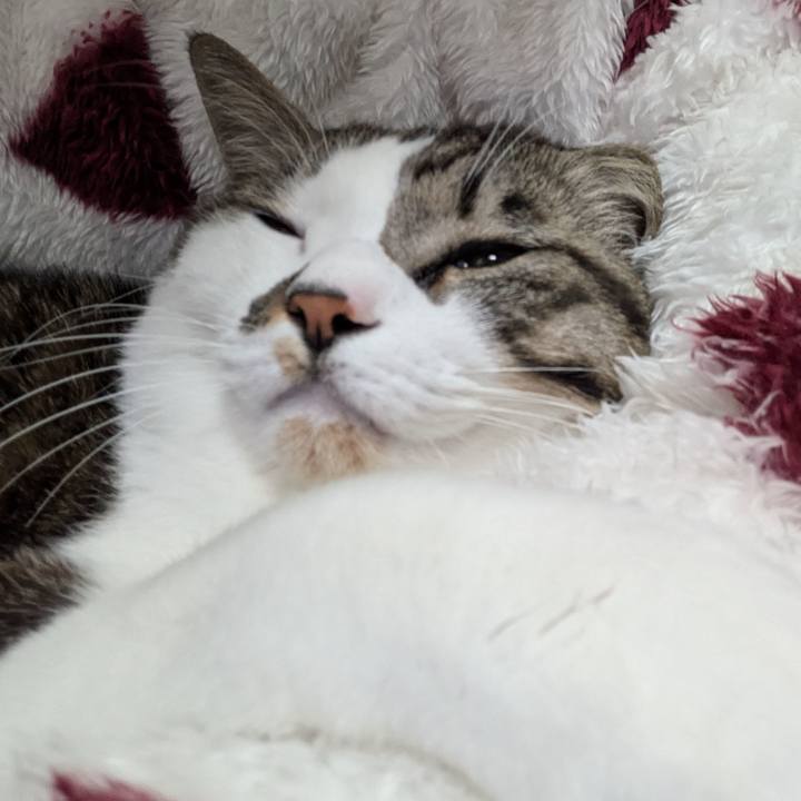 B2a6f935 ee09 4eec b393 f17bc2dd67fb 1738504372431