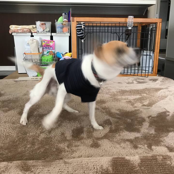 B2a72415 82f6 4397 b7f7 12cb154eaee3 1525961048906