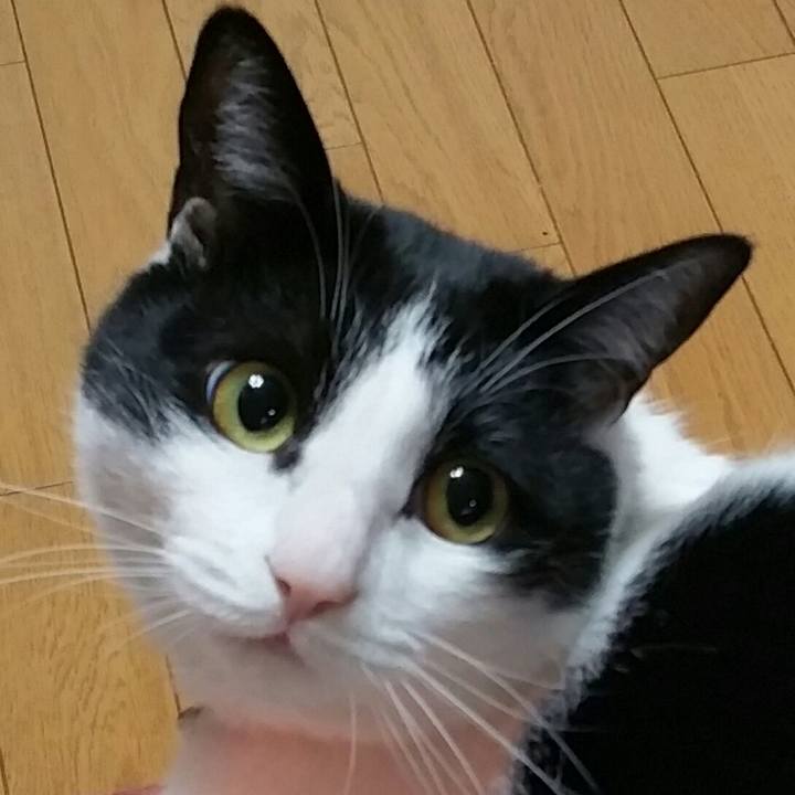 B2a764c4 7a15 42b3 b4d5 c7440a64e16d 1550151105153